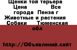 Щенки той терьера › Цена ­ 10 000 - Все города, Пенза г. Животные и растения » Собаки   . Тюменская обл.